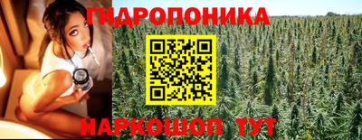 стафф Партизанск